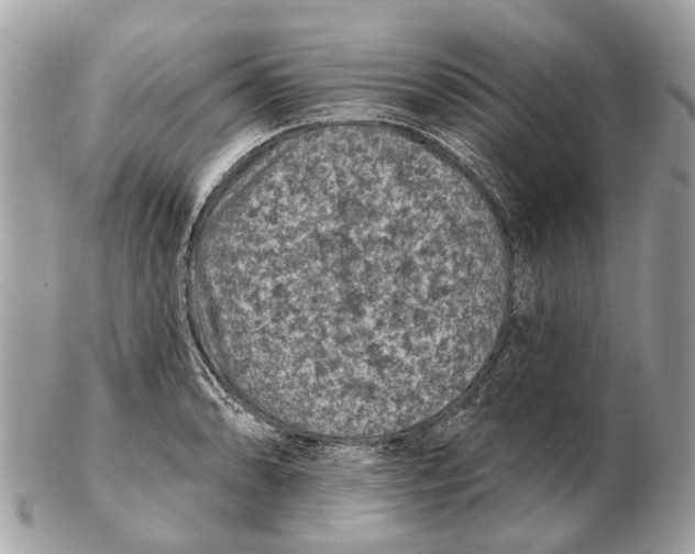 X0000102461086200809051304