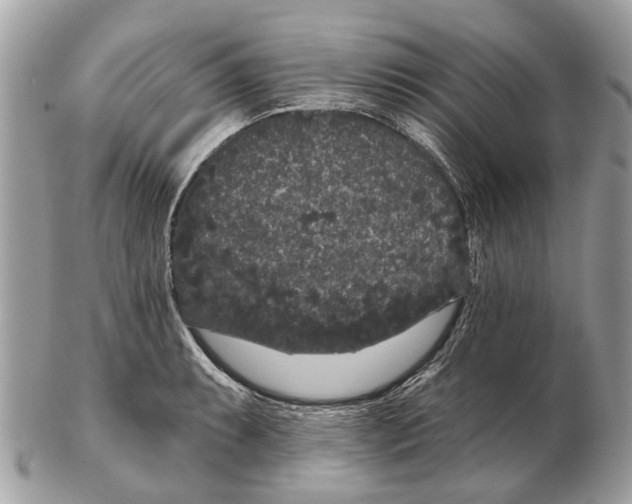 X0000102461087200809051304
