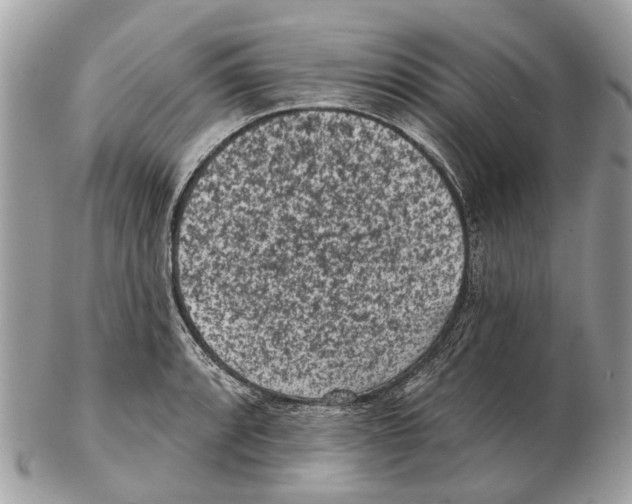 X0000102461088200809051304