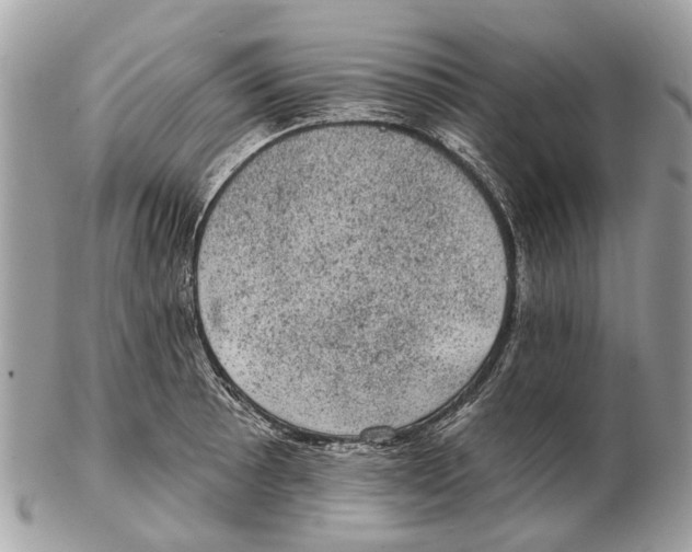 X0000102461089200809051304