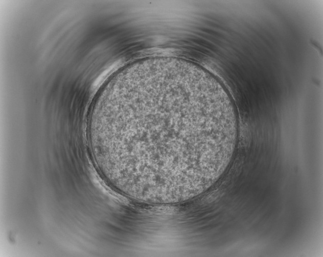 X0000102461090200809051304