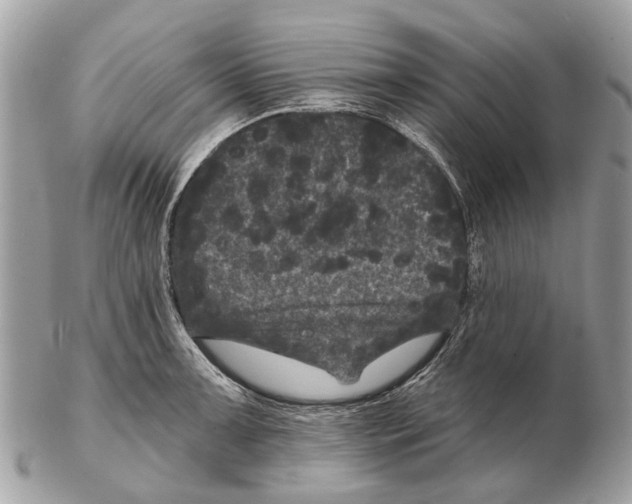 X0000102461091200809051304