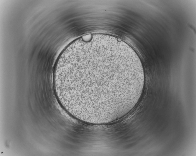 X0000102461092200809051304