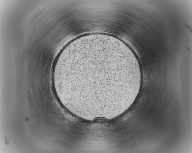 X0000102461093200809051304