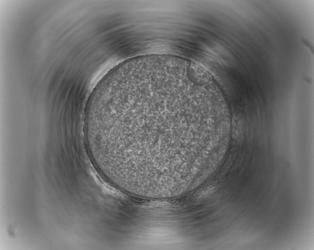X0000102461094200809051304