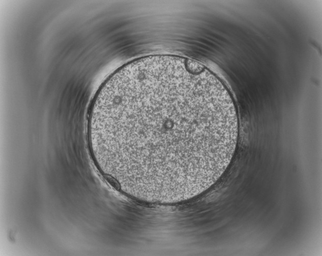 X0000102461096200809051304
