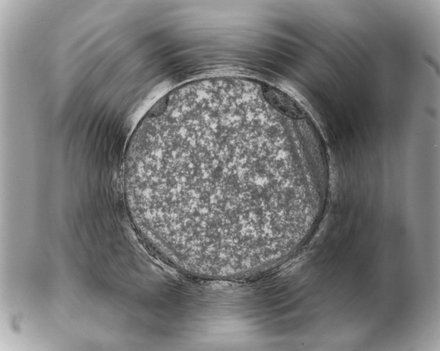 X0000102461097200809051304