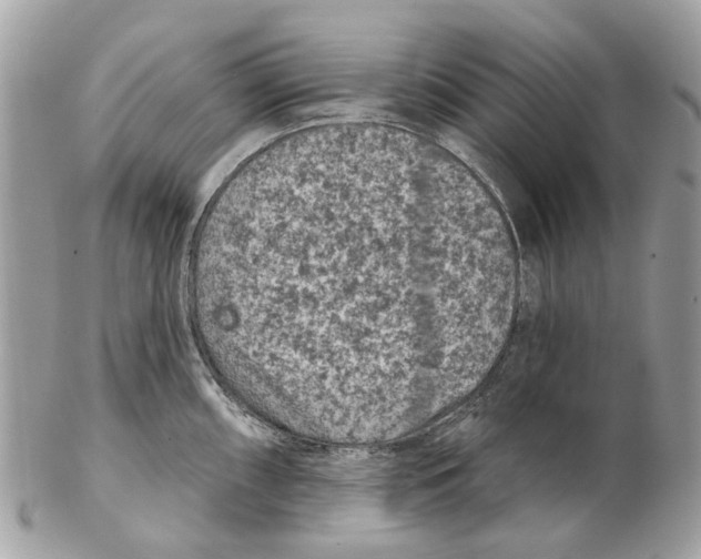 X0000102461098200809051304