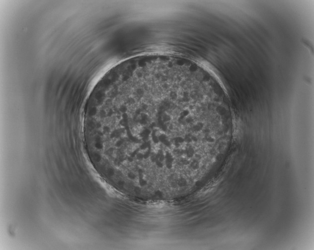 X0000102461099200809051304