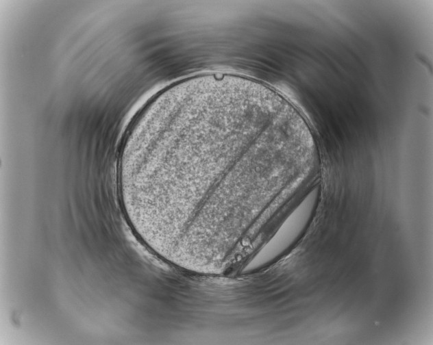 X0000102461100200809051304