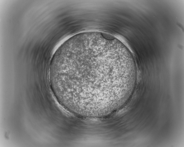 X0000102461101200809051304