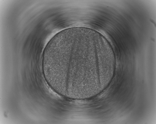 X0000102461102200809051304