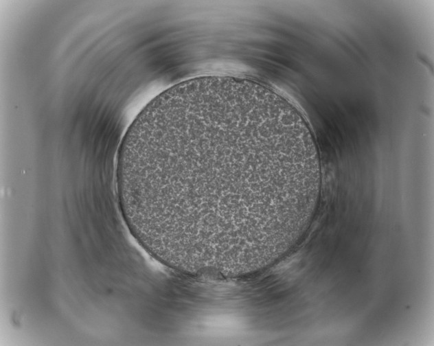 X0000102461103200809051304