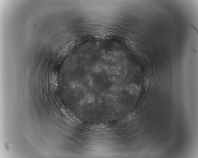 X0000102461106200809051303