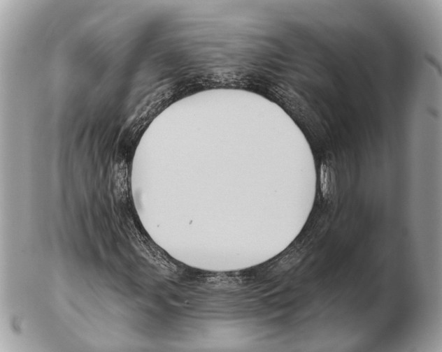 X0000102461107200809051303