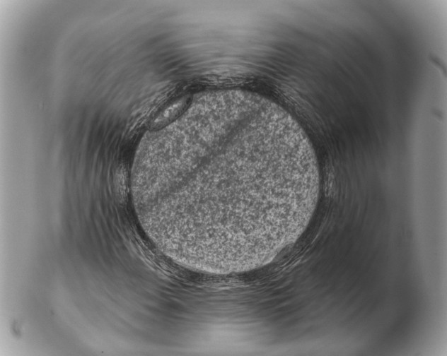 X0000102461108200809051303