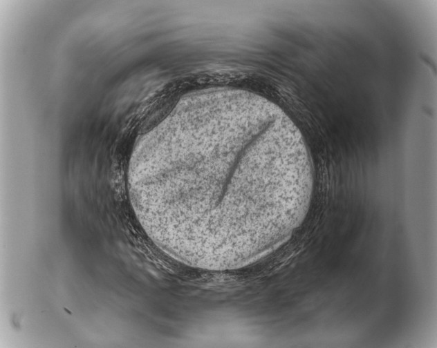 X0000102461109200809051303
