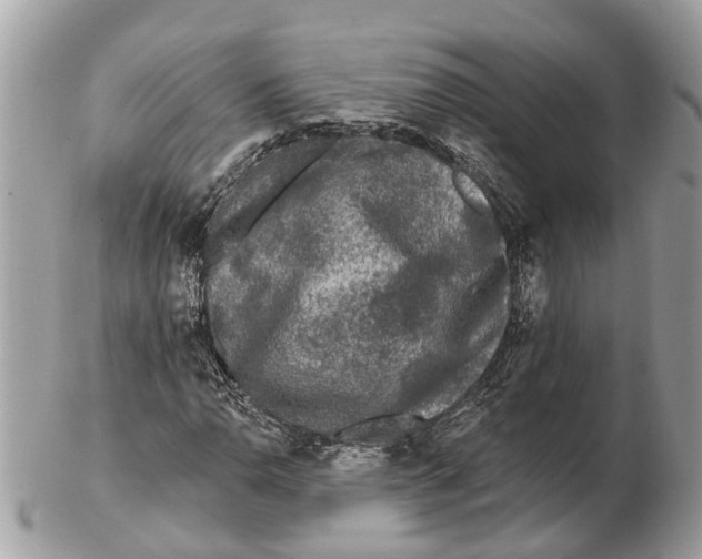 X0000102461110200809051303