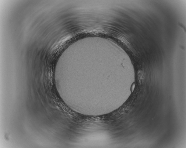 X0000102461111200809051303