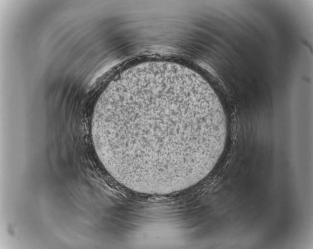 X0000102461112200809051303