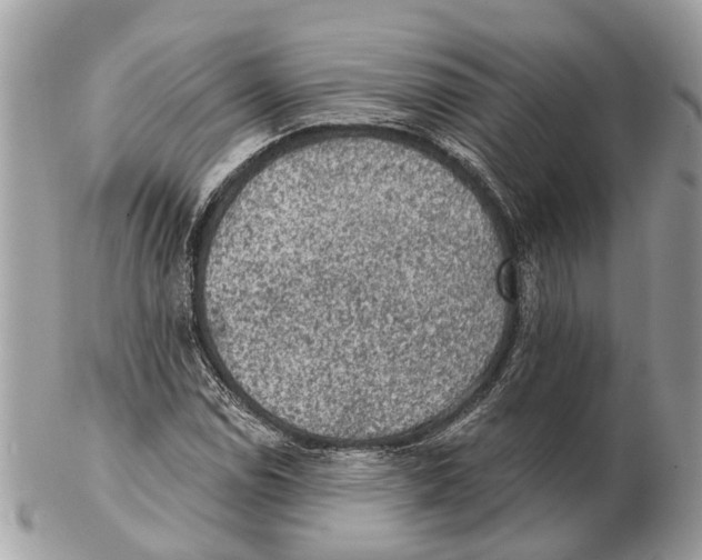 X0000102461114200809051303