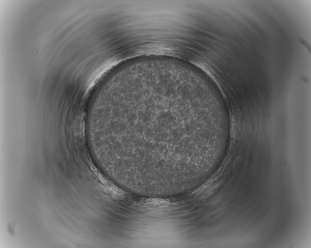X0000102461115200809051303