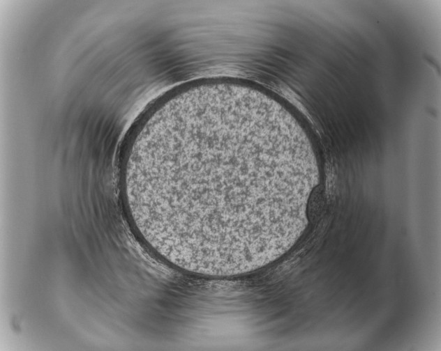 X0000102461116200809051303