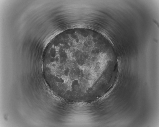 X0000102461117200809051303