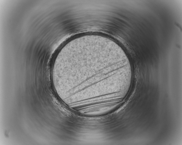 X0000102461118200809051303