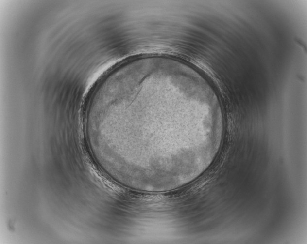 X0000102461120200809051303