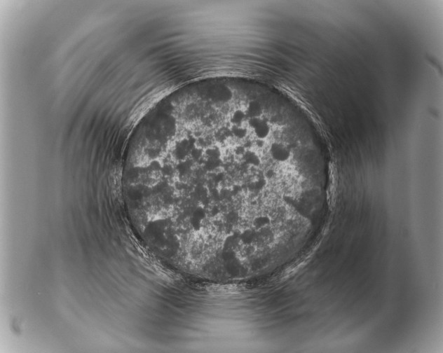 X0000102461121200809051303