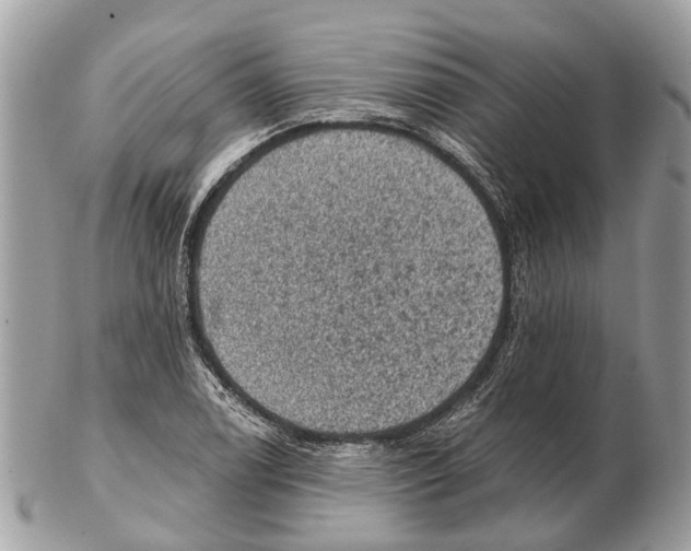 X0000102461122200809051304