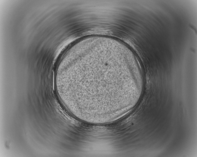 X0000102461123200809051304