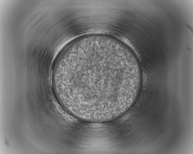 X0000102461124200809051304