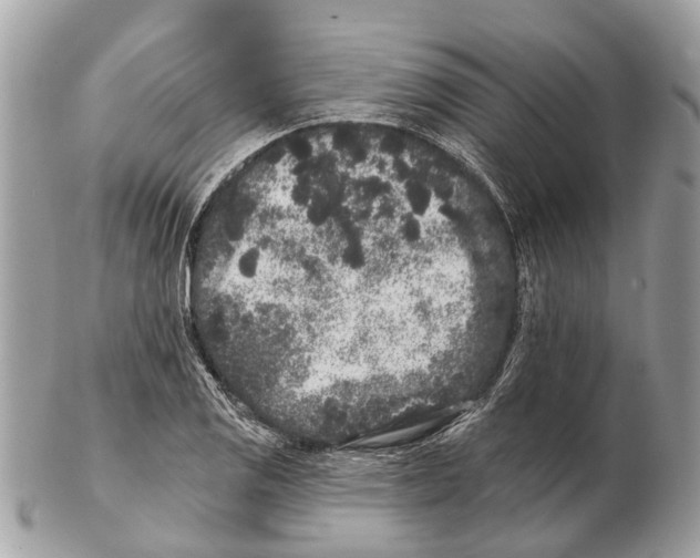 X0000102461125200809051304