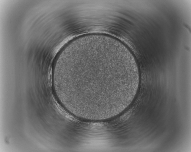 X0000102461126200809051304
