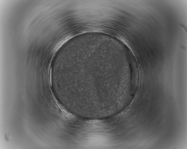 X0000102461127200809051304