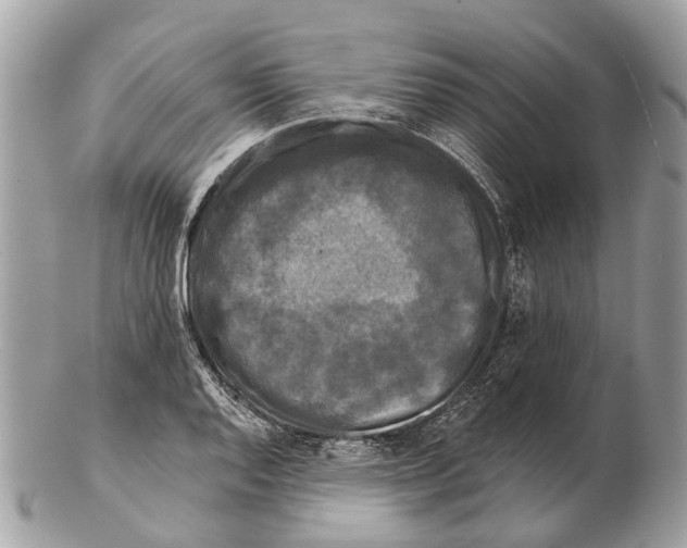 X0000102461128200809051304