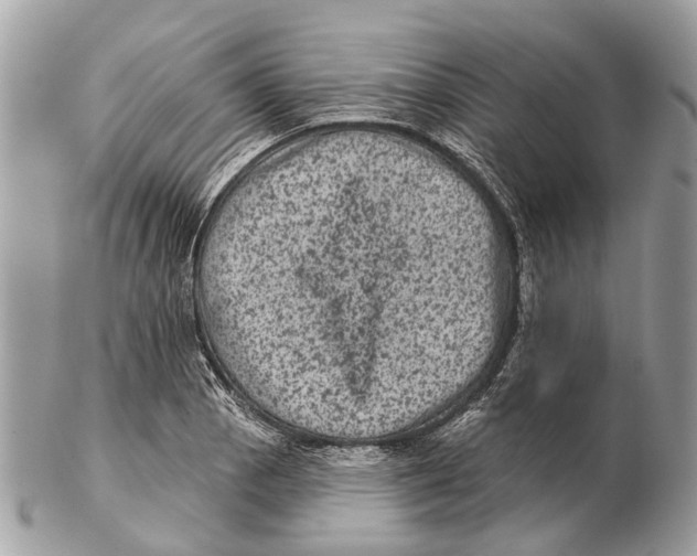 X0000102461129200809051304