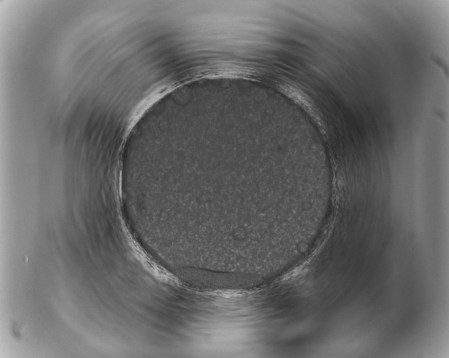 X0000102461130200809051304