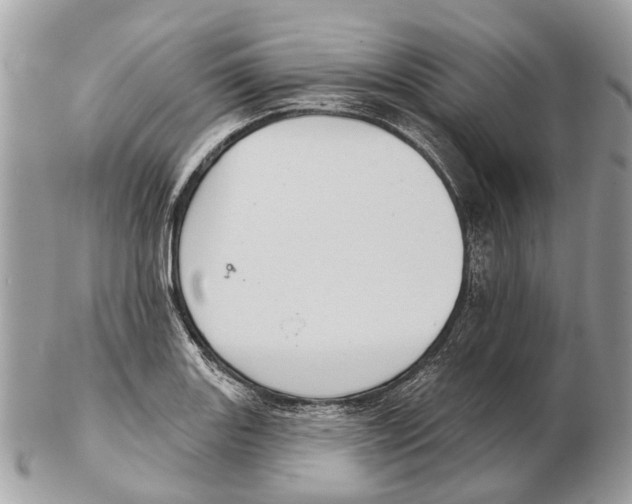 X0000102461131200809051304