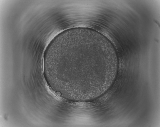 X0000102461132200809051304