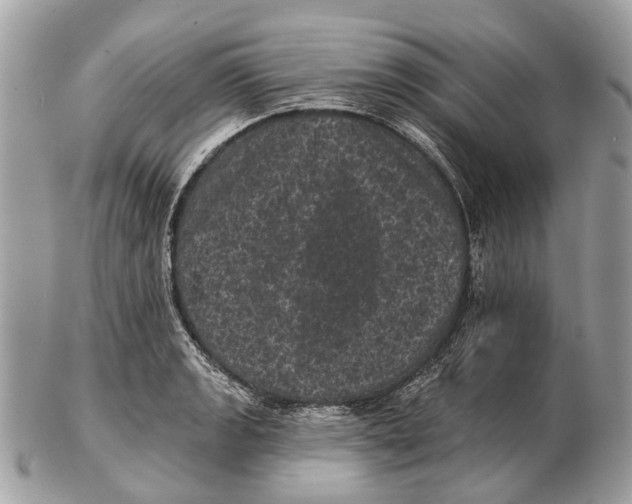 X0000102461133200809051304