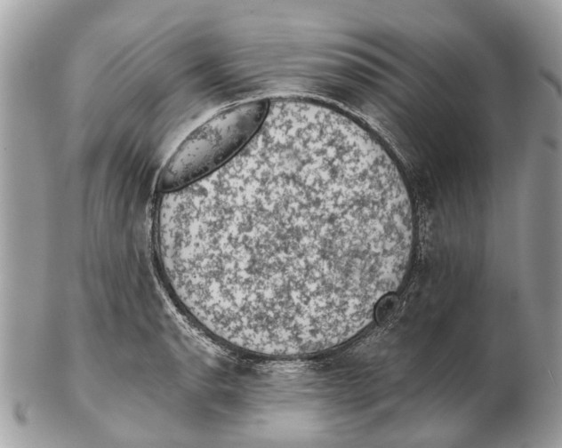 X0000102461134200809051304