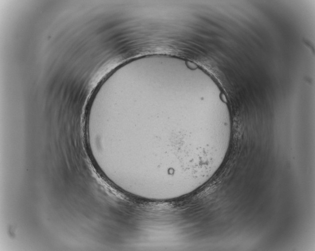 X0000102461135200809051304