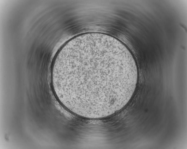 X0000102461136200809051304