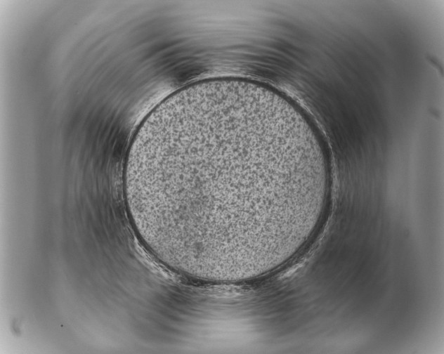 X0000102461137200809051304