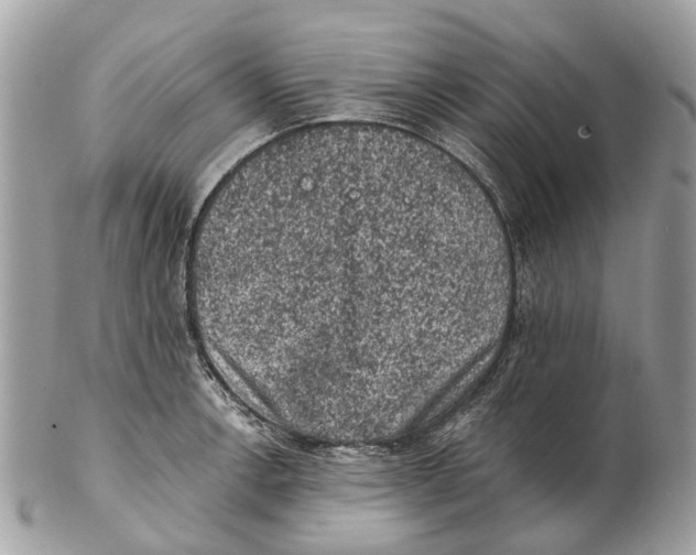 X0000102461138200809051304