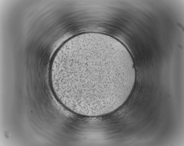 X0000102461139200809051304