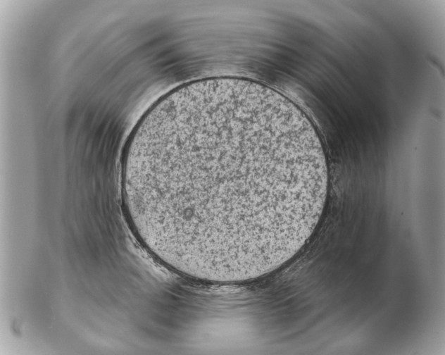 X0000102461140200809051304